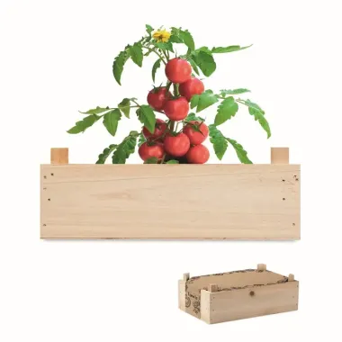 Mini-huerto tomates en caja Madera - Duti