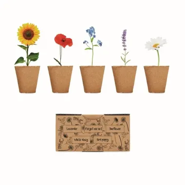Kit de cultivo de flores Cartón - Cejo