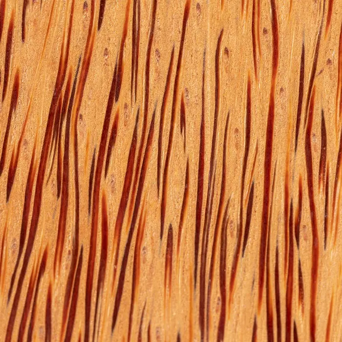 Cargador Coco - Qazo miniatura 4