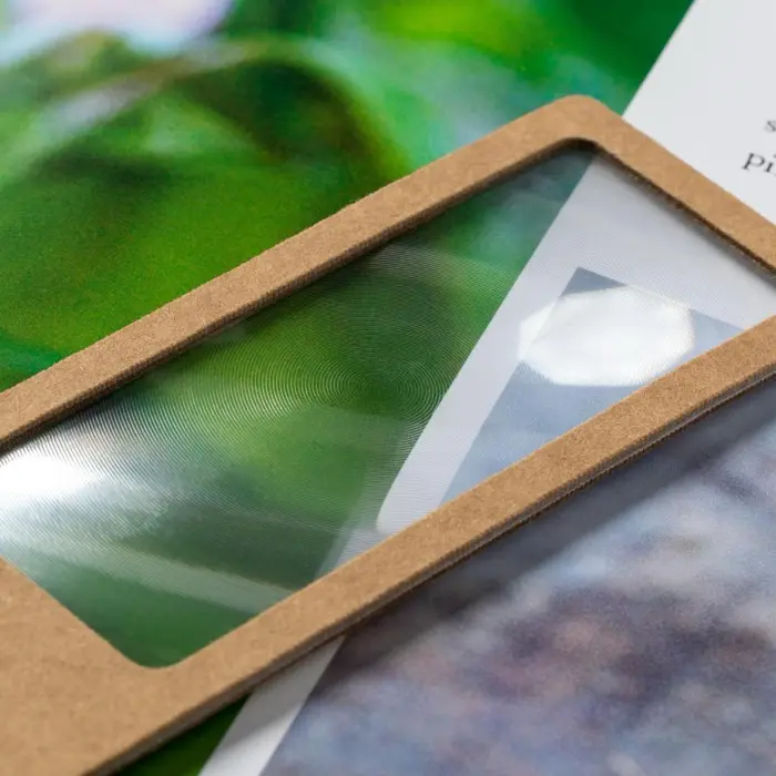 Lupa Marcapáginas Cartón Reciclado - Deda miniatura 5