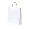 Bolsa Papel Reciclado 100 g/ m2 - Zaqe