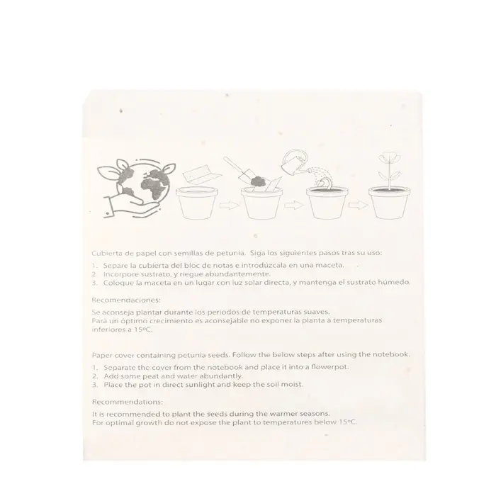 Set Semillas Papel Semilla - Kora miniatura 6