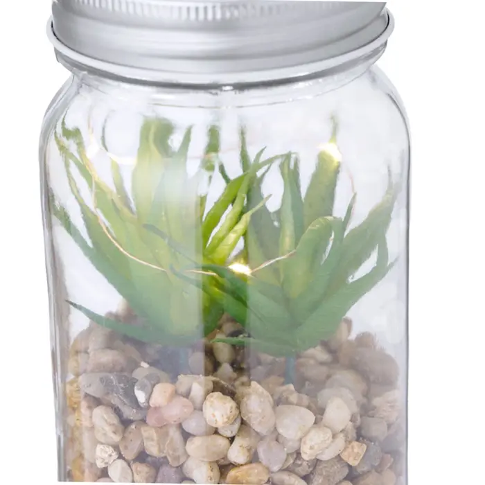 Planta Decorativa Cristal - Cide miniatura 5