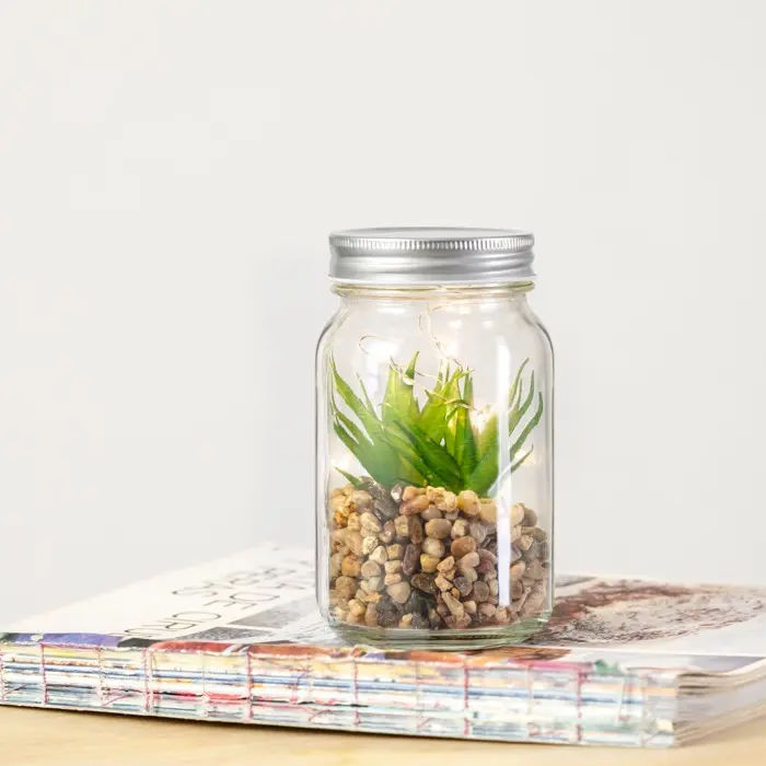 Planta Decorativa Cristal - Cide miniatura 6