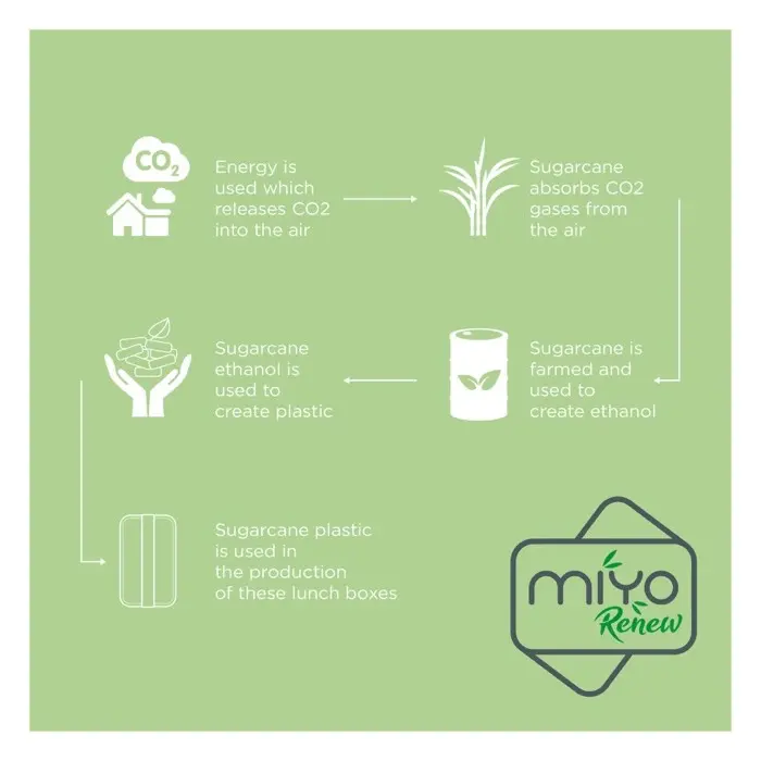 Fiambrera de una sola capa Plástico PP Bioplástico de caña de azúcar - Zaba miniatura 2