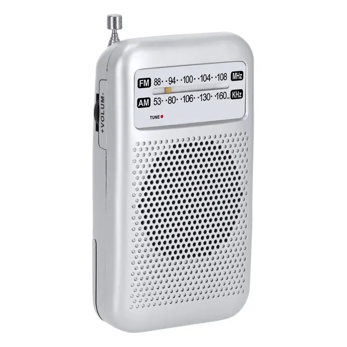 Radio  - Iceg miniatura 2