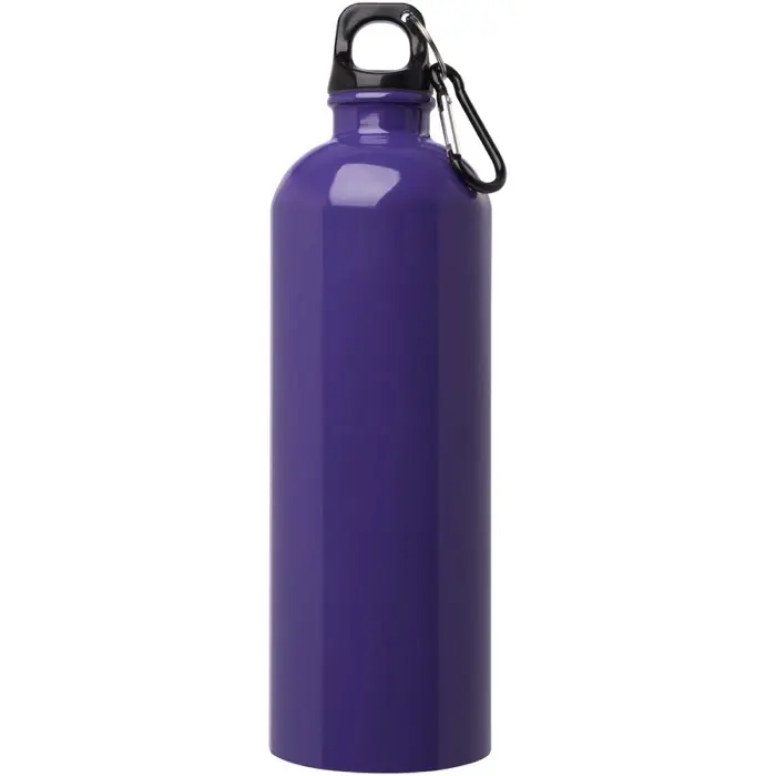 Bidón de 750 ml de acero inoxidable con certificado RCS con mosquetón 91% Acero inoxidable reciclado, 9% Plástico PP - Luvo miniatura 2