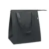 Bolsa nevera non woven RPET RPET - Jeul
