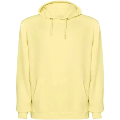 Sudadera con capucha unisex Punto 100% Algodón, 250 g/m2 - Esuk